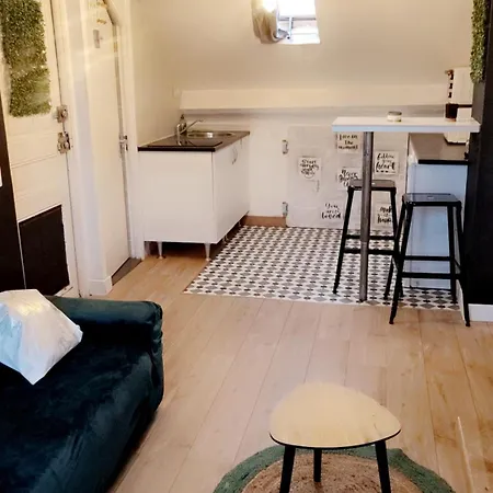 Cosy Centre Quartier Musiciens Apartamento Nice